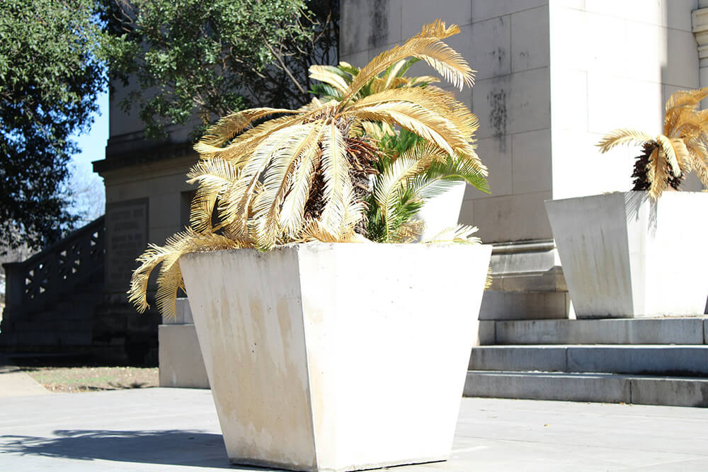 Palm Tree Planter Palm Tree Planter